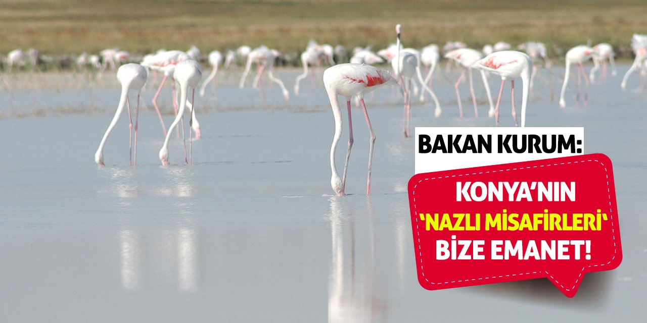 Bakan Kurum: Konya’nın 'Nazlı Misafirleri' Bize Emanet!