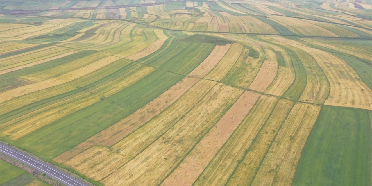 Bakanlıktan tarımsal üretim planlaması ve teşviki adımı