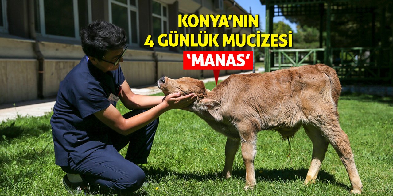 Konya’nın 4 Günlük Mucizesi ‘Manas’