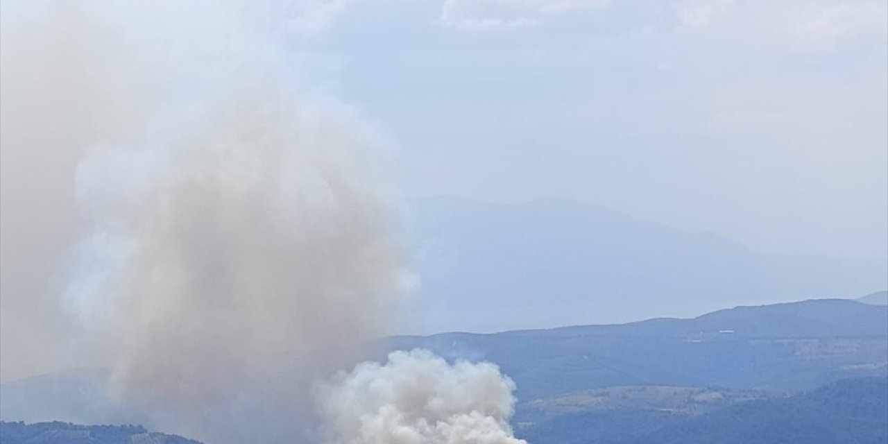 Bursa'da ormanlık alanda çıkan yangına müdahale ediliyor