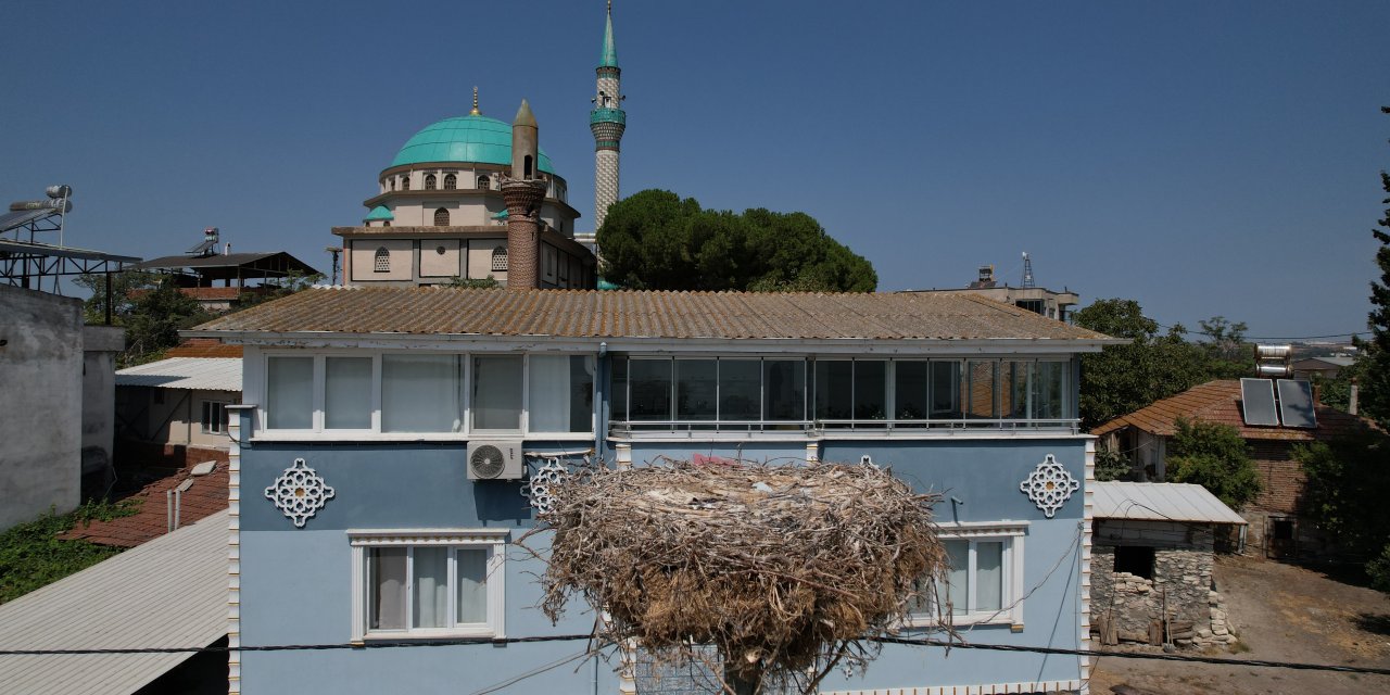 'Yaren' leylek Adem amcaya veda etti