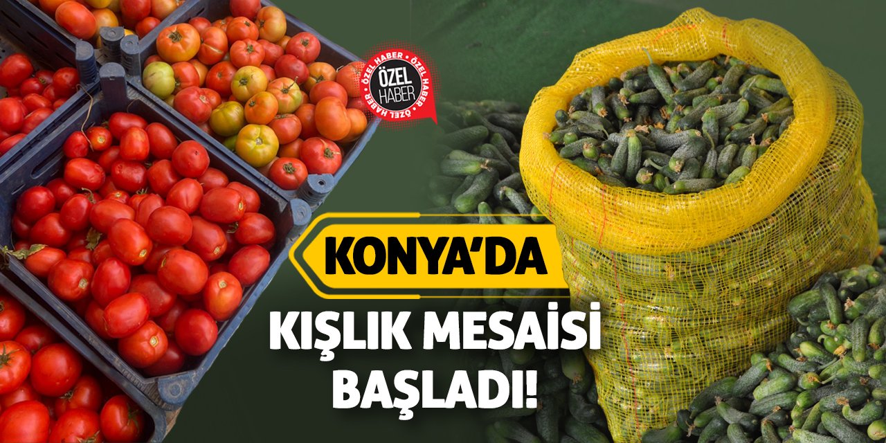 Konya’da Kışlık Mesaisi Başladı!