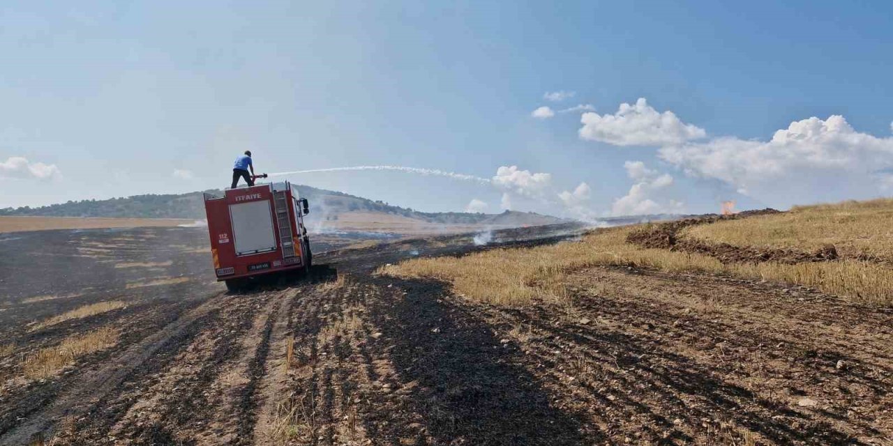 Anız yangını ormanlık alana sıçramadan söndürüldü