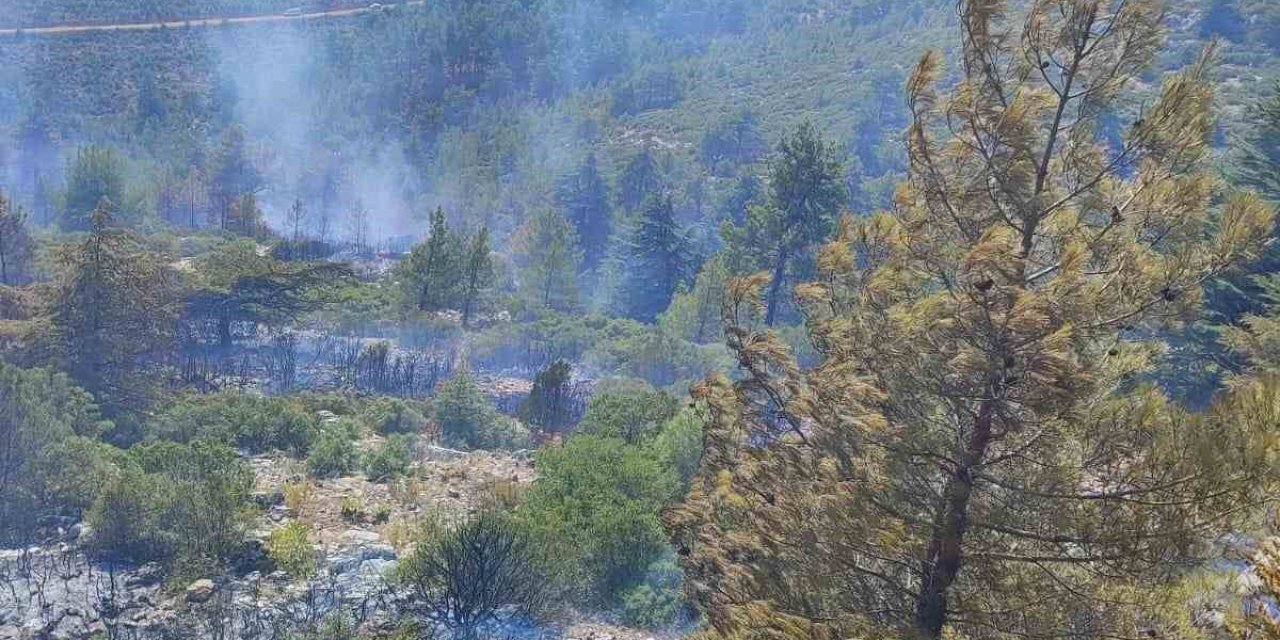 Burdur’da yıldırım düşmesi sonucu çıkan orman yangını söndürüldü