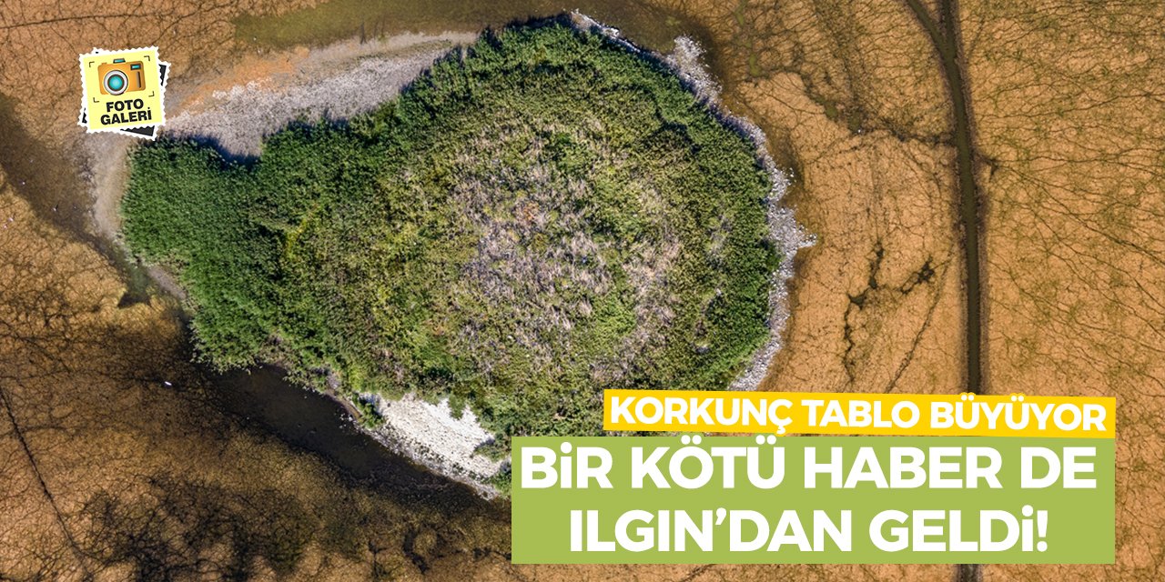 Bir Kötü Haber de Ilgın’dan Geldi! Korkunç Tablo Büyüyor