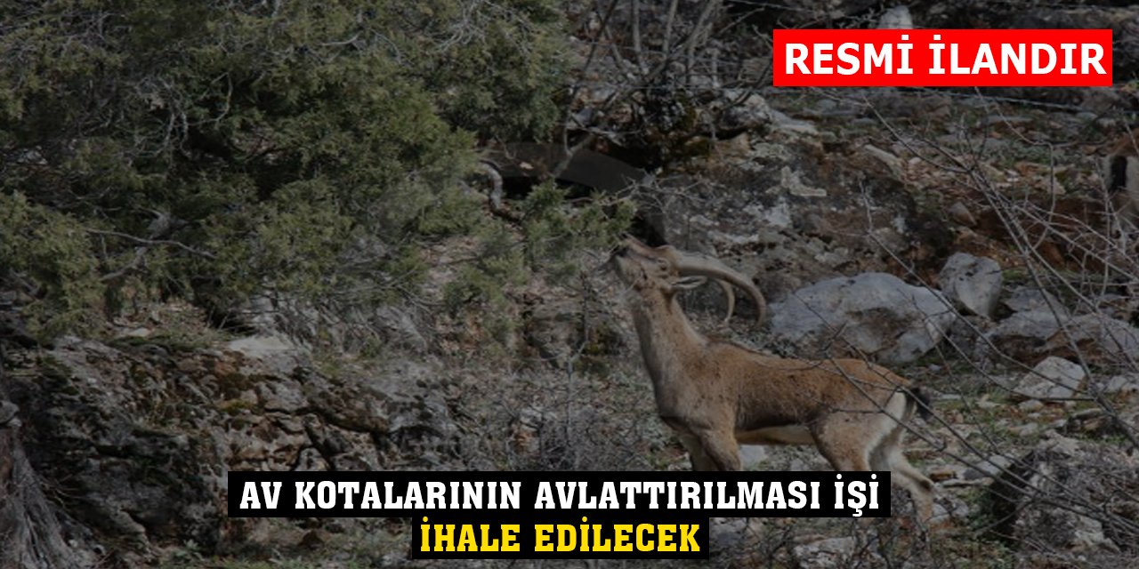 Av kotalarının avlattırılması işi ihale edilecek