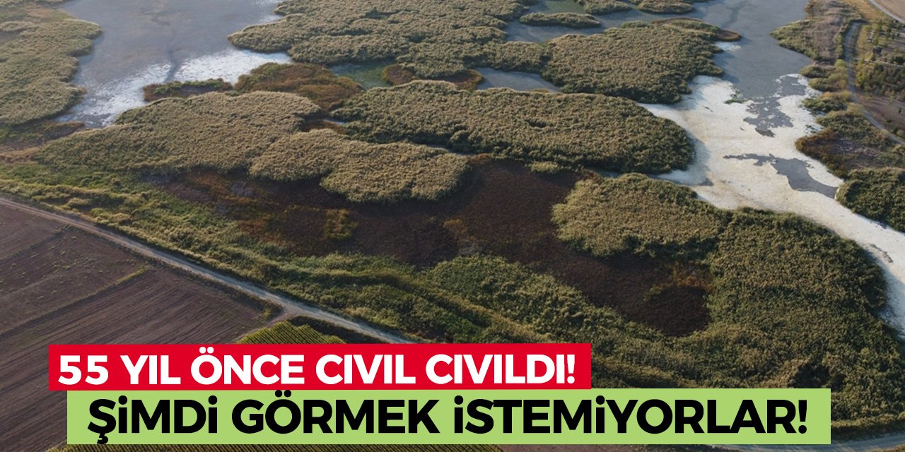 55 yıl önce cıvıl cıvıldı! Şimdi görmek istemiyorlar!