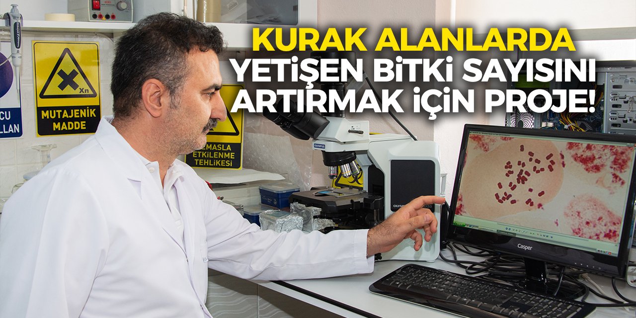 Kurak alanlarda yetişen bitki sayısını artırmak için proje