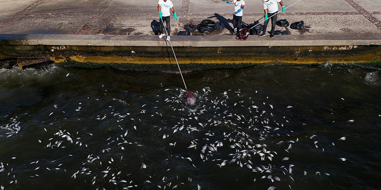 İzmir Körfezi Acil Eylem Planı hazırlanacak