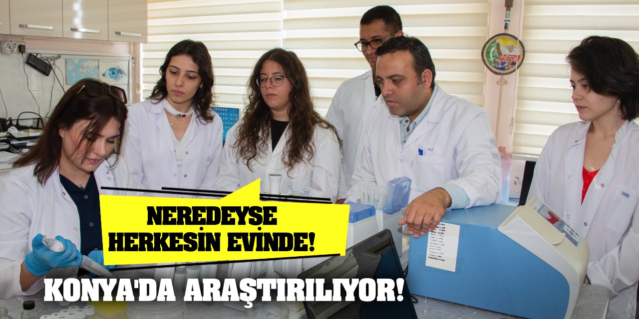 Neredeyse herkesin evinde! Konya'da araştırılıyor!