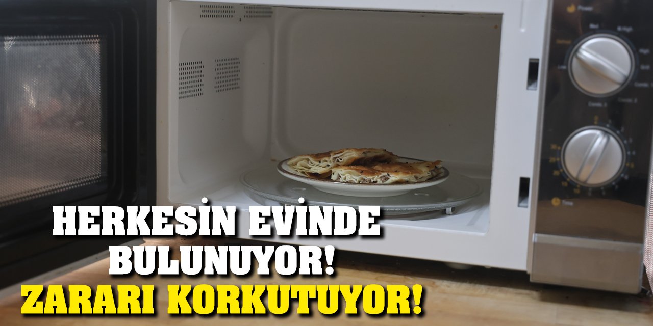 Herkesin Evinde Bulunuyor! Zararı Korkutuyor!