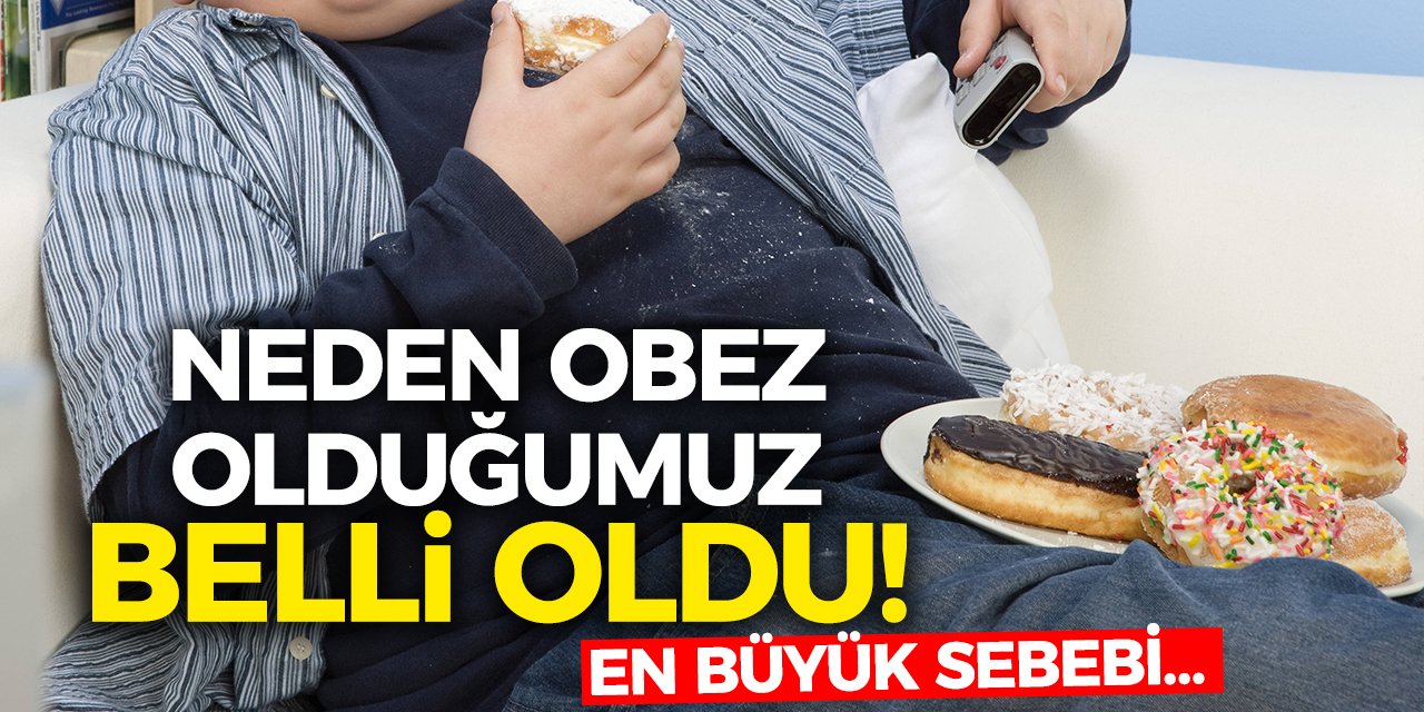 Neden Obez Olduğumuz Belli Oldu! En Büyük Sebebi…