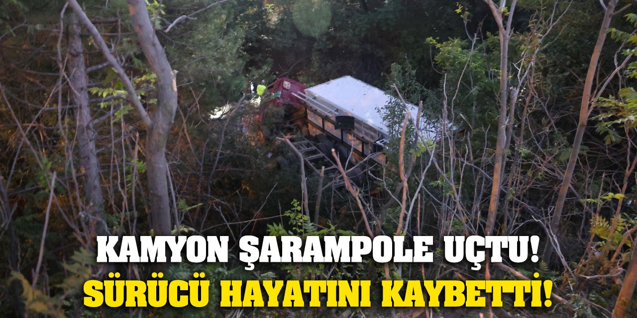 Kamyon şarampole uçtu! Sürücü hayatını kaybetti!