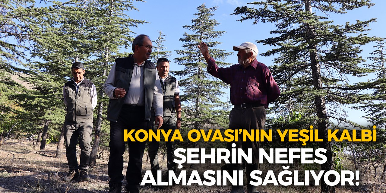 Konya Ovası’nın Yeşil Kalbi Şehrin Nefes Almasını Sağlıyor!