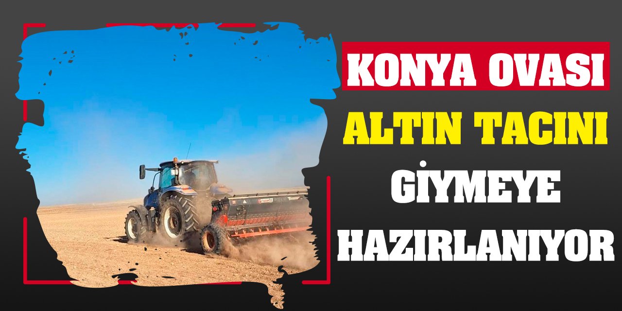 Konya Ovası Altın Tacını Giymeye Hazırlanıyor