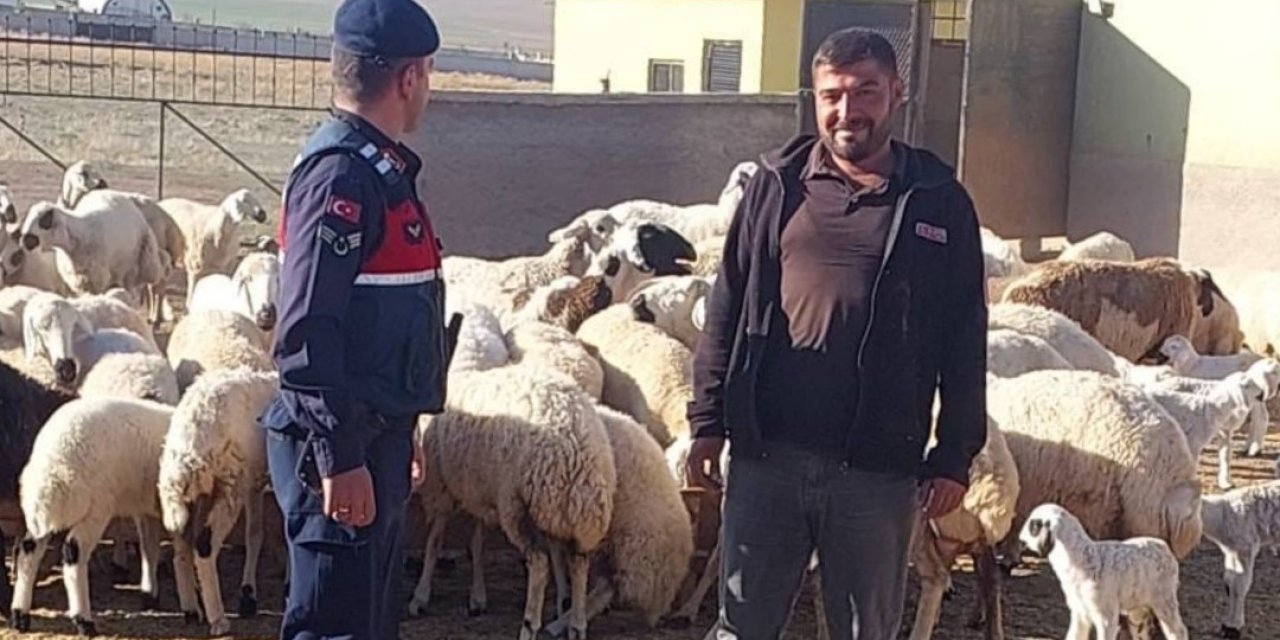 Kaybolan küçükbaş hayvanları jandarma dronla buldu