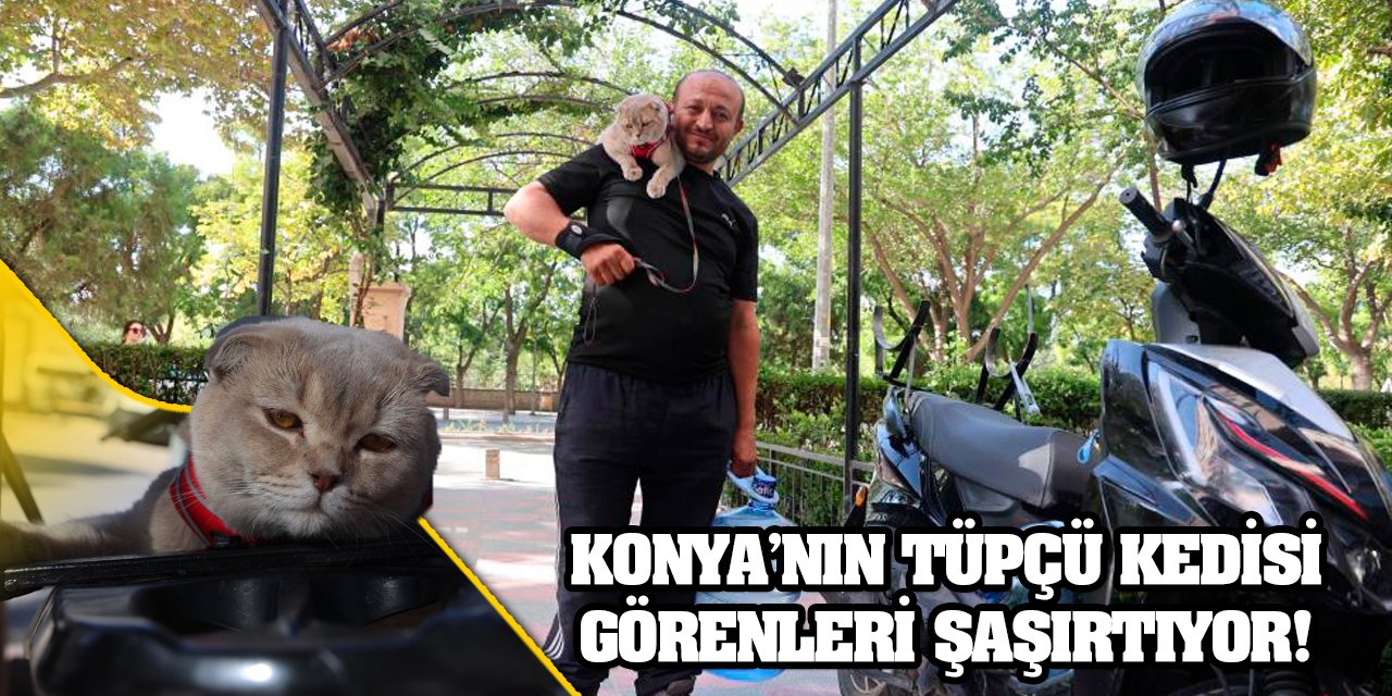 Konya’nın Tüpçü Kedisi Görenleri Şaşırtıyor!