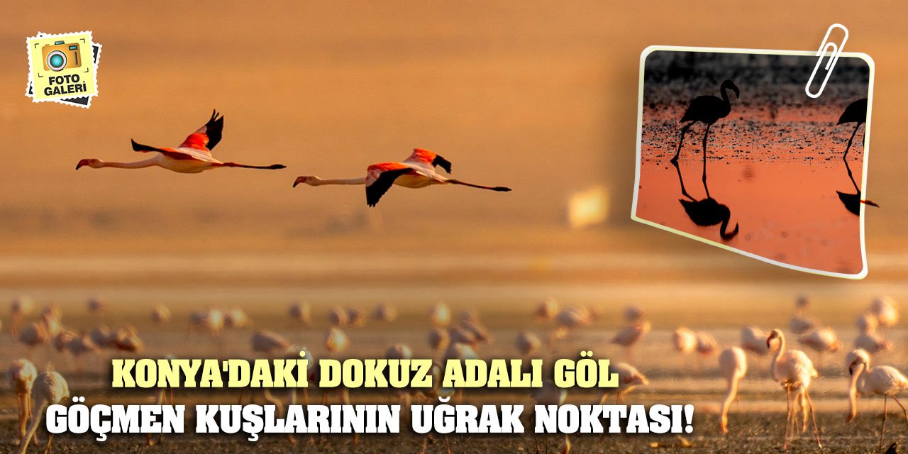 Konya'daki dokuz adalı göl göçmen kuşlarının uğrak noktası!