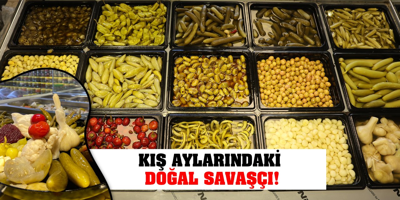 Kış aylarındaki doğal savaşçı!