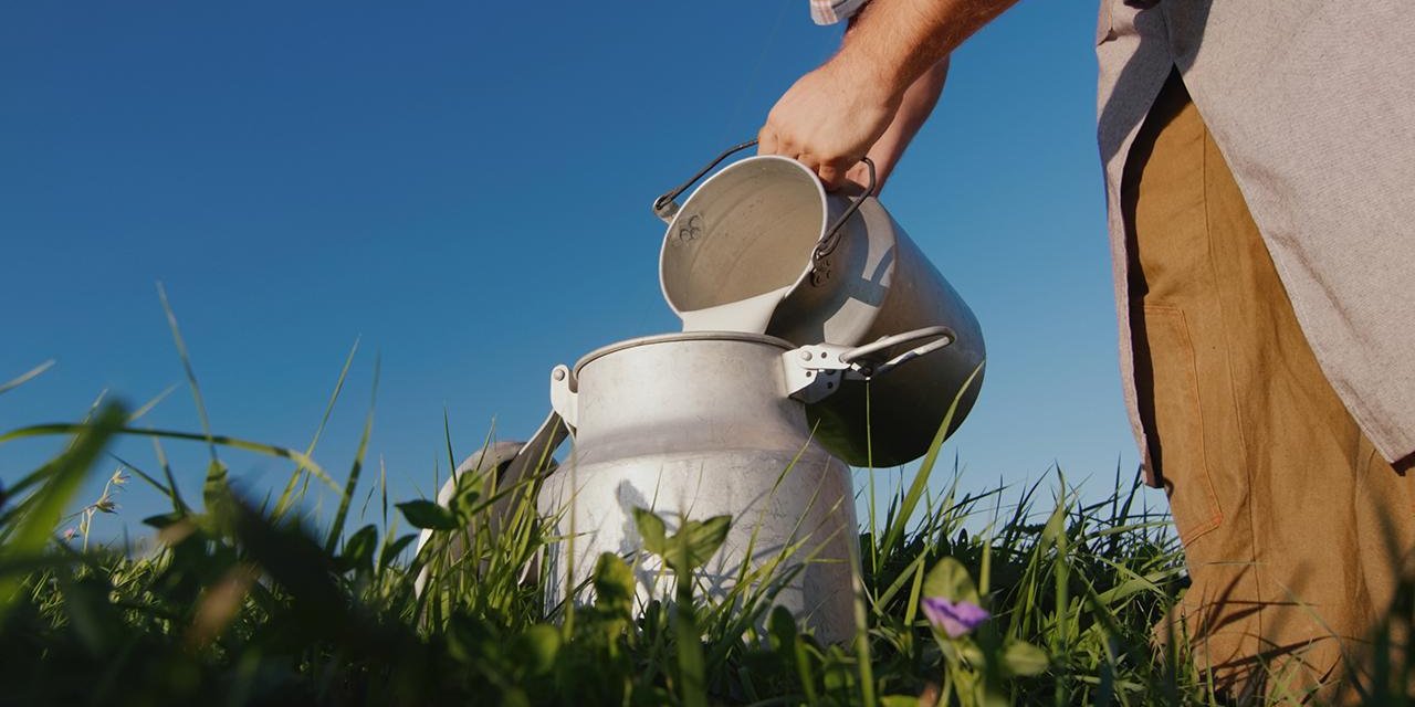 Çiğ süt primi yılın son 3 ayı için litre başına 1 lira olarak uygulanacak