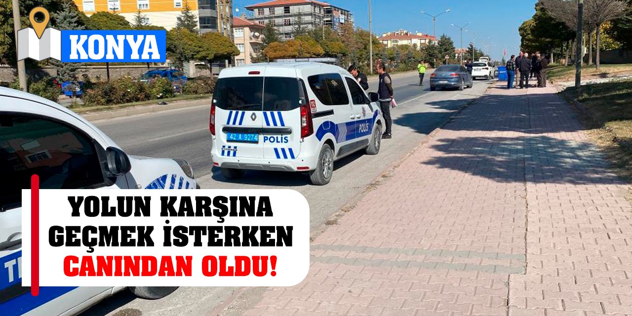 Yolun karşına geçmek isterken canından oldu!