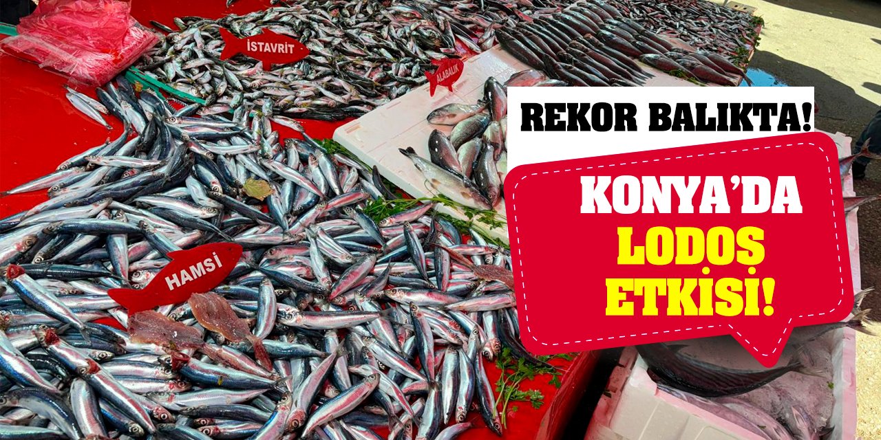 Konya’da Lodos Etkisi! Rekor Balıkta!