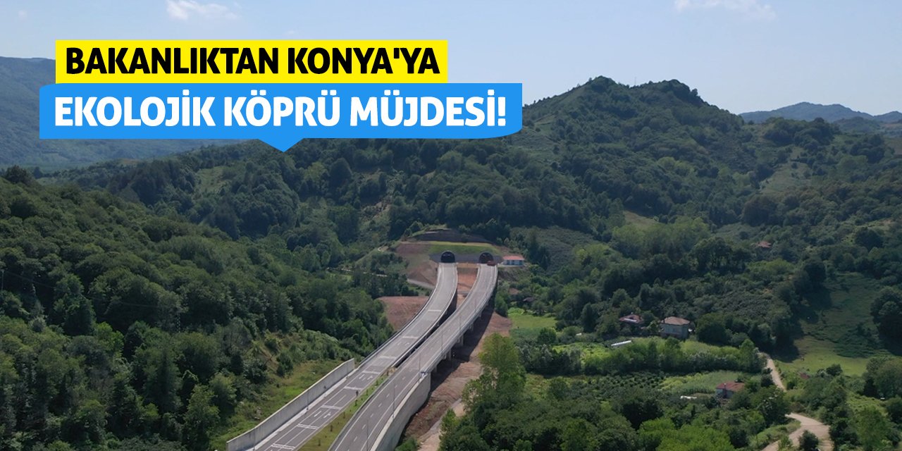 Bakanlıktan Konya'ya Ekolojik Köprü Müjdesi!