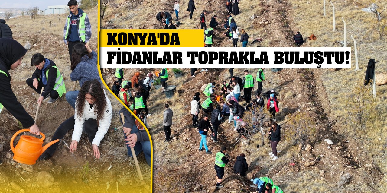 Konya'da fidanlar toprakla buluştu!