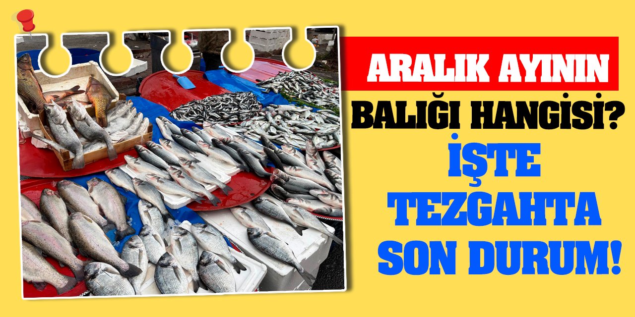 Aralık ayının balığı hangisi? İşte tezgahta son durum!