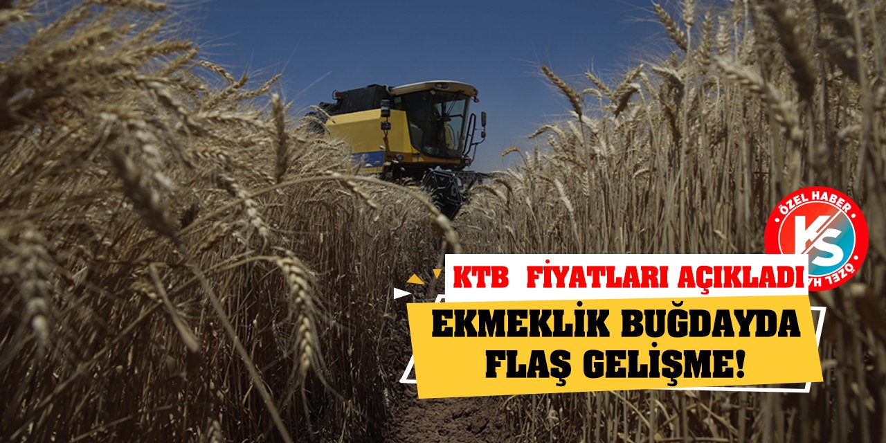 Ekmeklik Buğdayda Flaş Gelişme! KTB Yeni Fiyatları Açıkladı