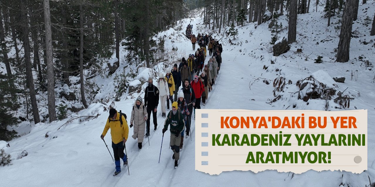 Konya'daki bu yer Karadeniz yaylarını aratmıyor!