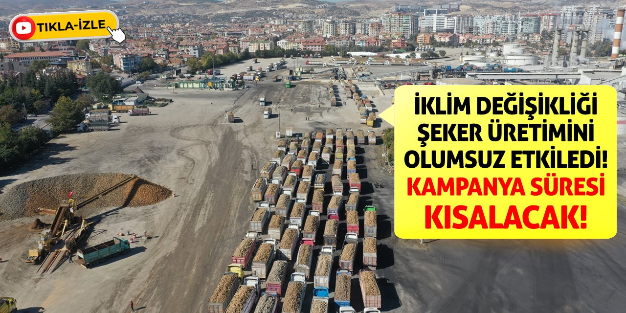 İklim değişikliği şeker üretimini olumsuz etkiledi! Kampanya süresi kısalacak!