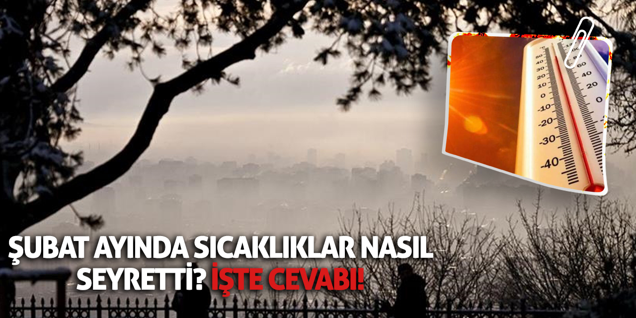 Şubat ayında sıcaklıklar nasıl seyretti? İşte cevabı!