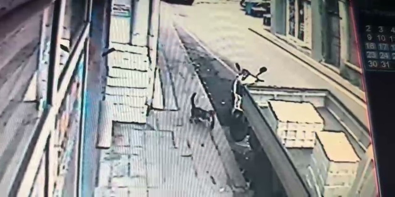 Kedinin tezgahtan balık alması kamerada
