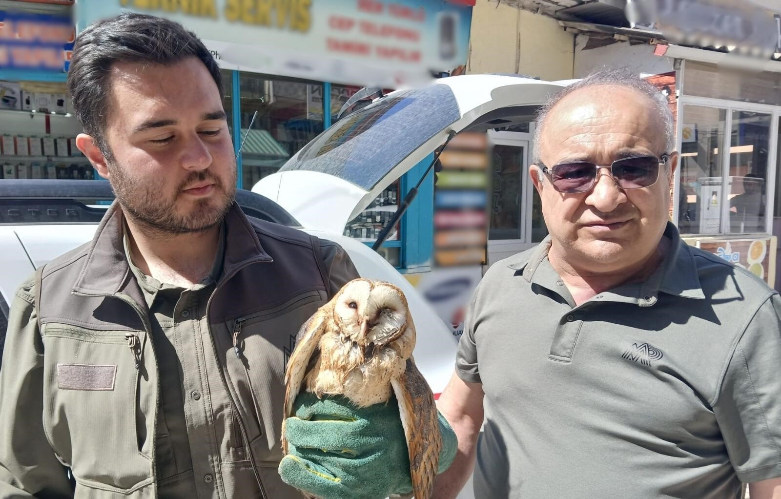 Kargaların saldırdığı yaralı peçeli baykuş koruma altına alındı