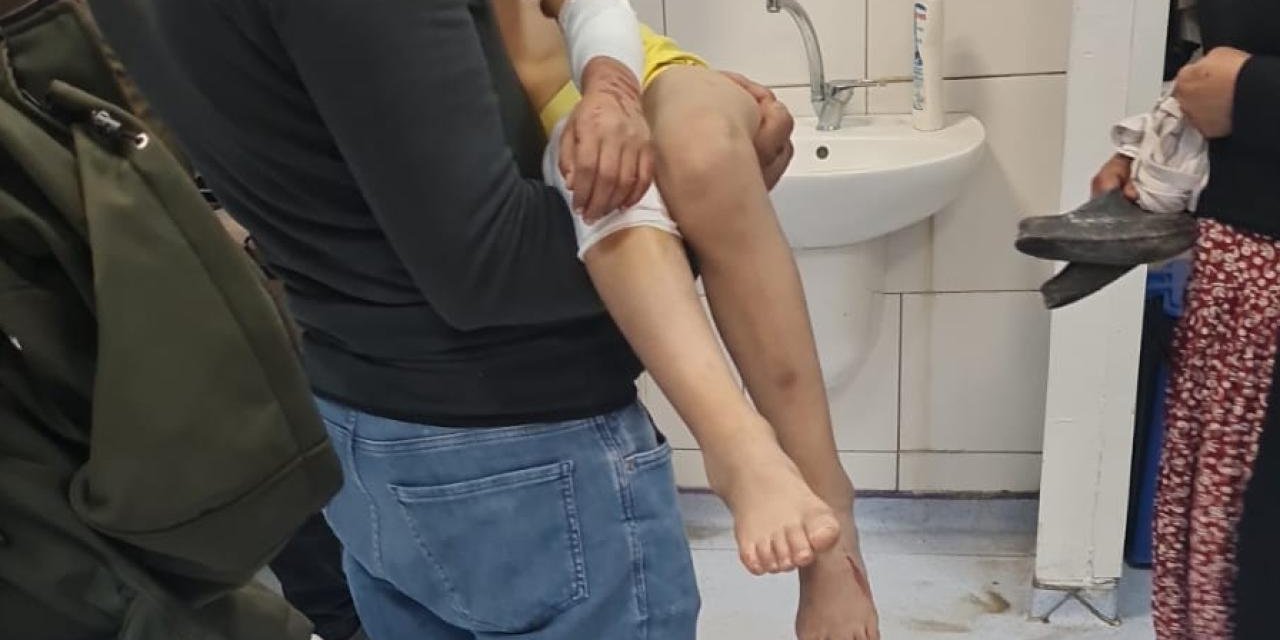 Başıboş köpekler 9 yaşındaki çocuğa saldırdı