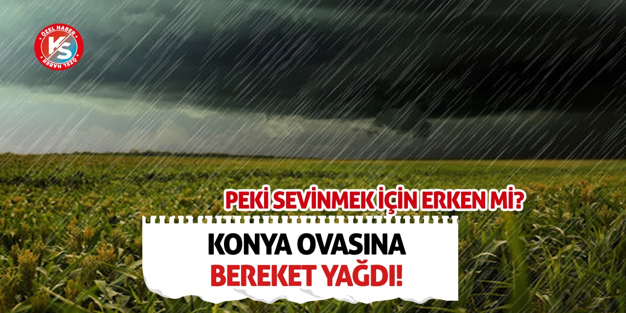 Konya Ovasına bereket yağdı! Peki sevinmek için erken mi?