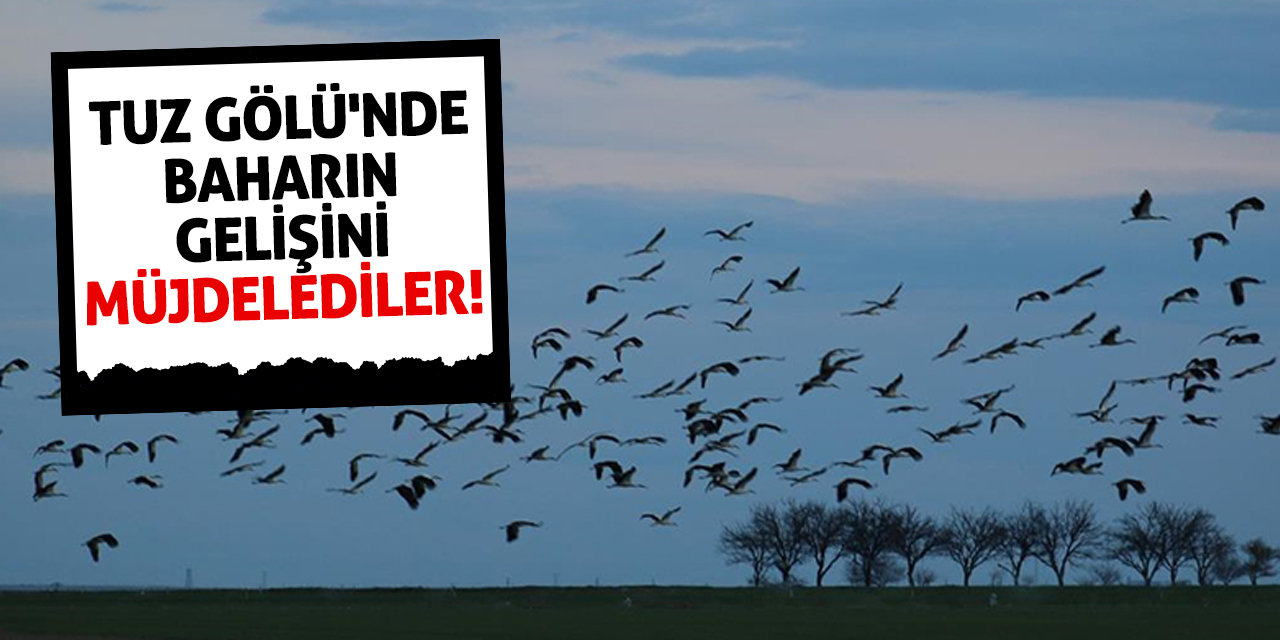 Tuz Gölü'nde Baharın Gelişini Müjdelediler!