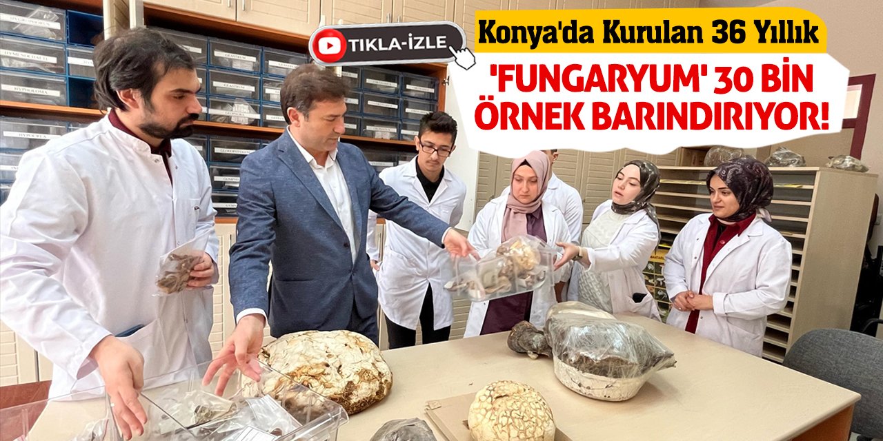 Konya'da Kurulan 36 Yıllık 'Fungaryum' 30 Bin Örnek Barındırıyor!