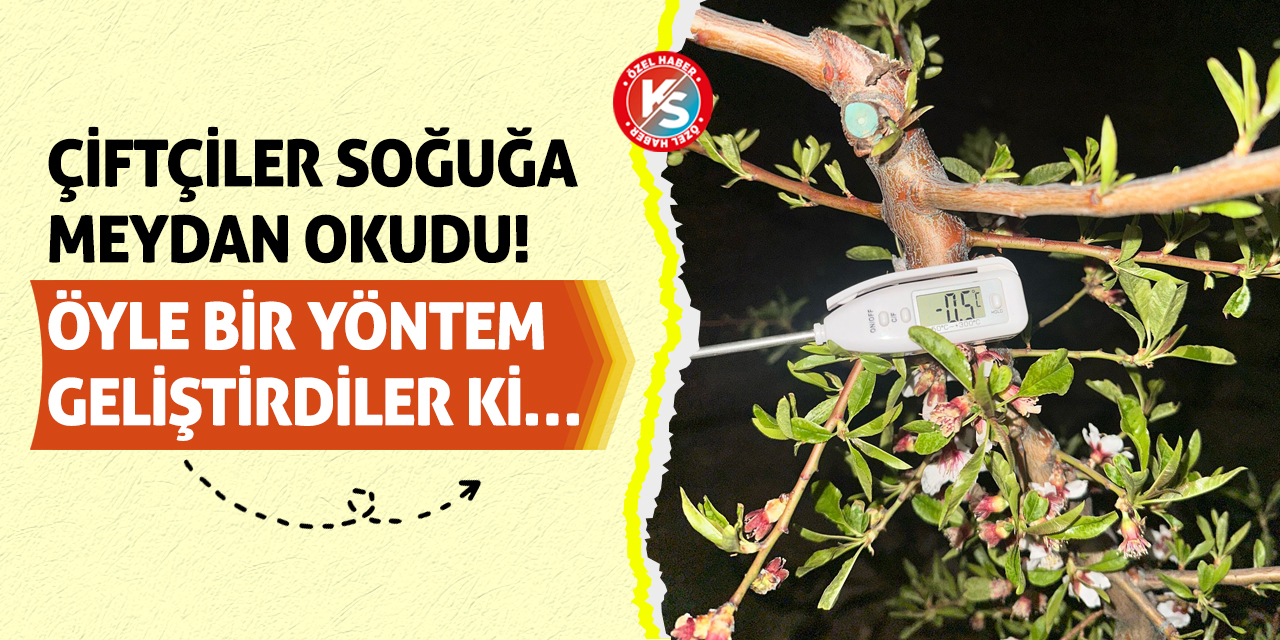 Çiftçiler Soğuğa Meydan Okudu! Öyle Bir Yöntem Geliştirdiler Ki…