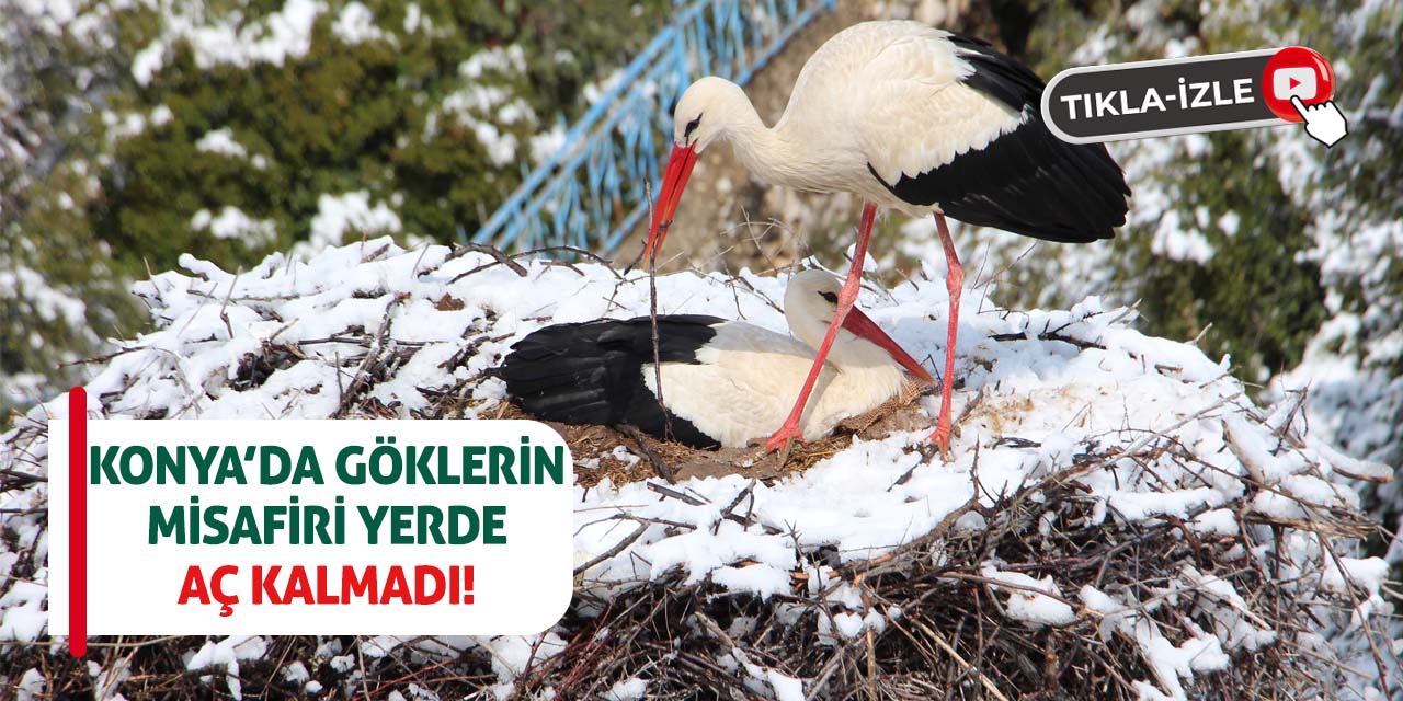 Konya'da Göklerin Misafiri Yerde Aç Kalmadı!