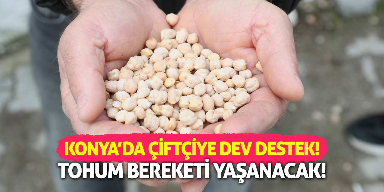 Konya’da Çiftçiye Dev Destek! Tohum Bereketi Yaşanacak
