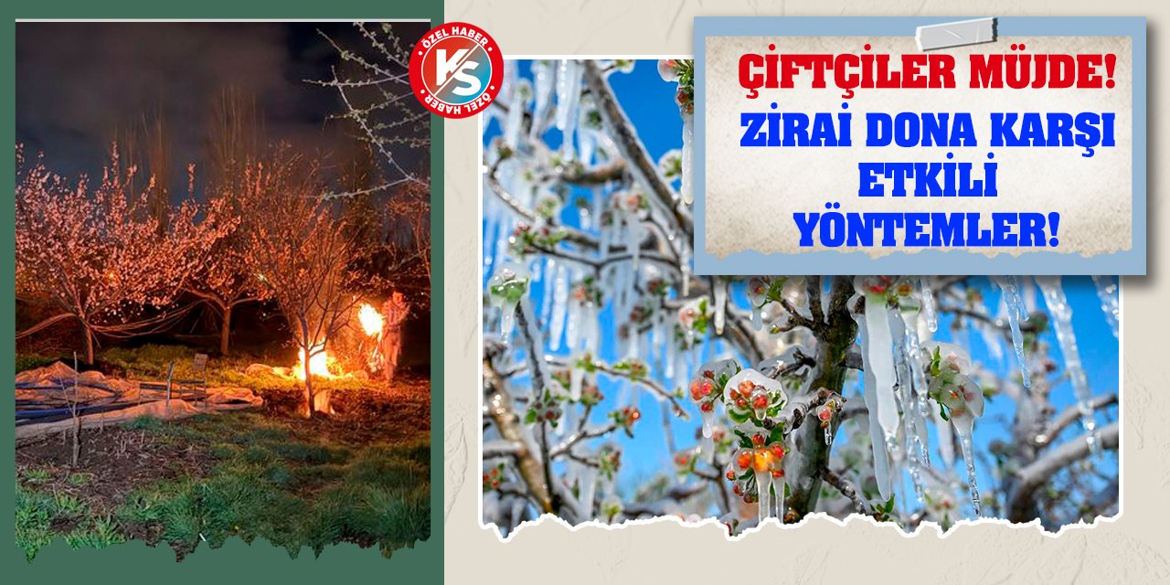 Çiftçiler müjde! Zirai dona karşı etkili yöntemler!