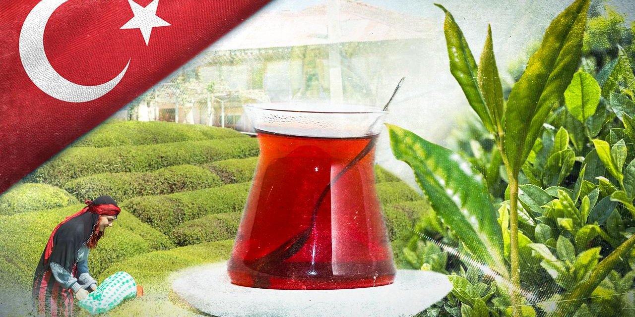 Üzerine kar yağan tek çay olan Türk çayından 6,2 milyon dolar gelir