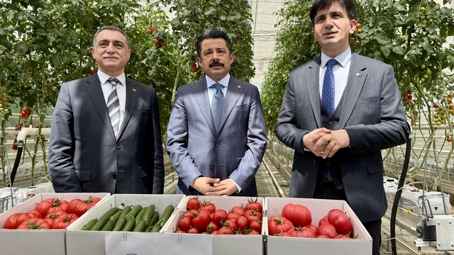 Konya'da hidrojen enerjisiyle ısıtmalı sera kullanılmaya başlandı