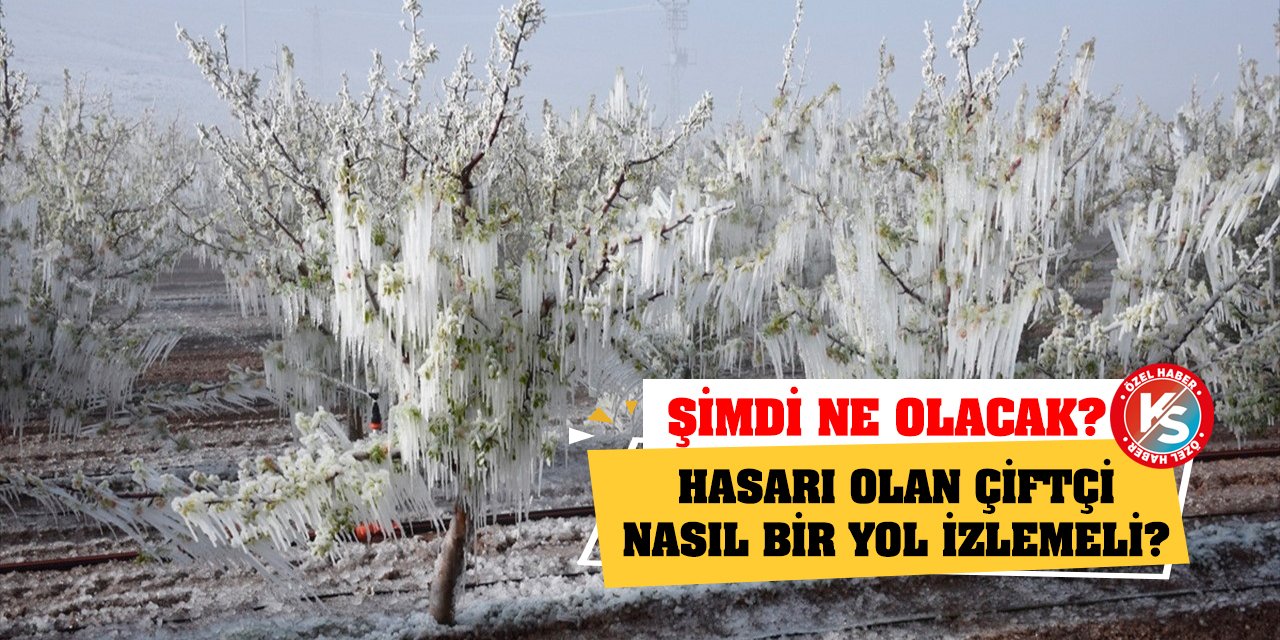 Şimdi ne olacak? Hasarı olan çiftçi nasıl bir yol izlemeli?