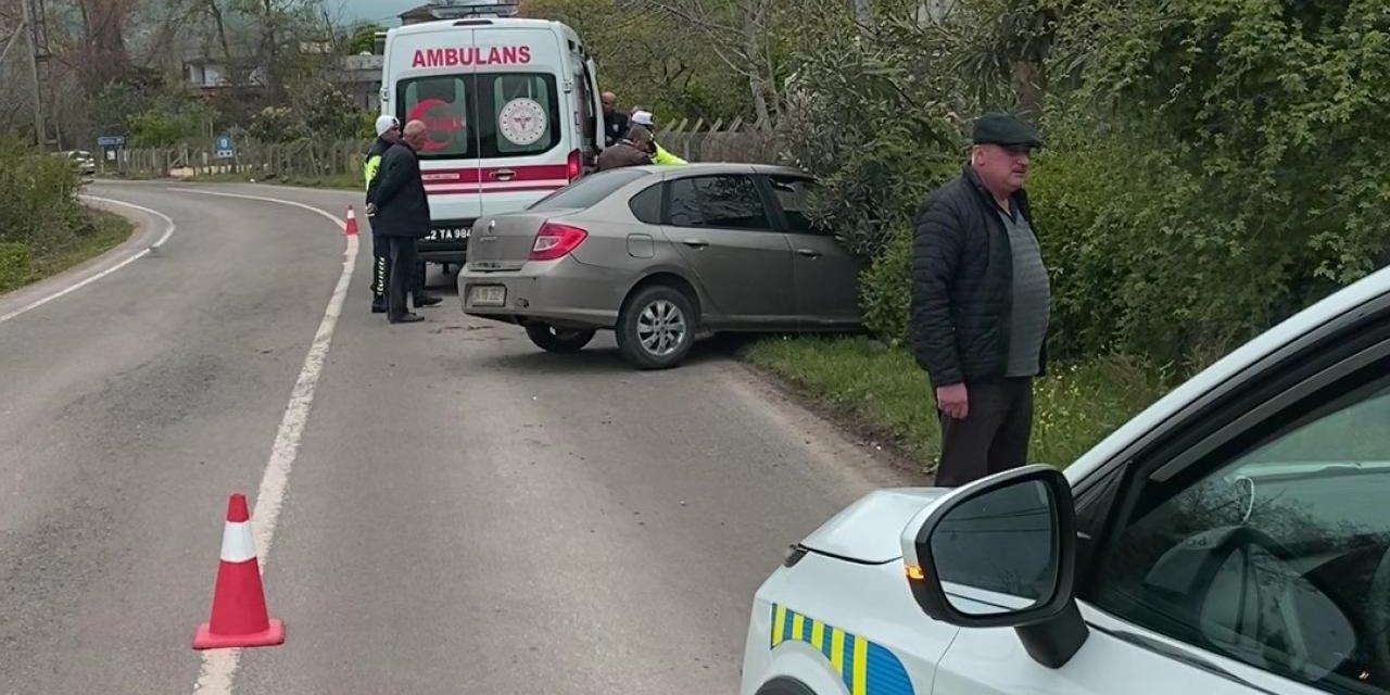 Başıboş köpeklere çarpmamak için kaza yaptı: 2 yaralı