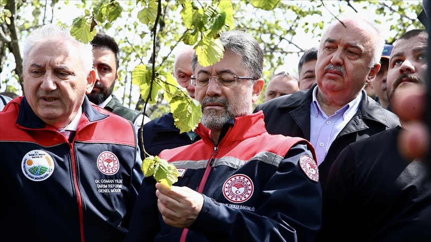 Zirai dondan etkilenen 16 meyve türü için destek verilecek!