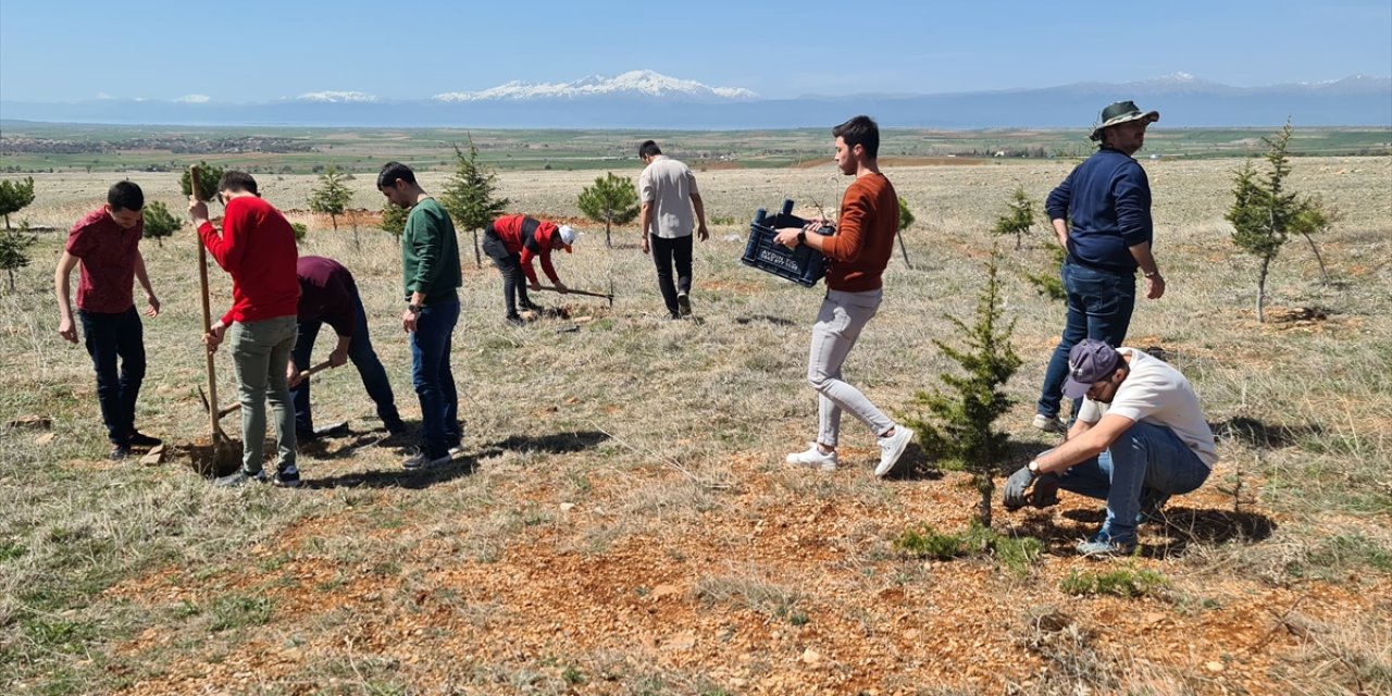 Hüyük'te şehitler anısına fidanlar toprakla buluştu