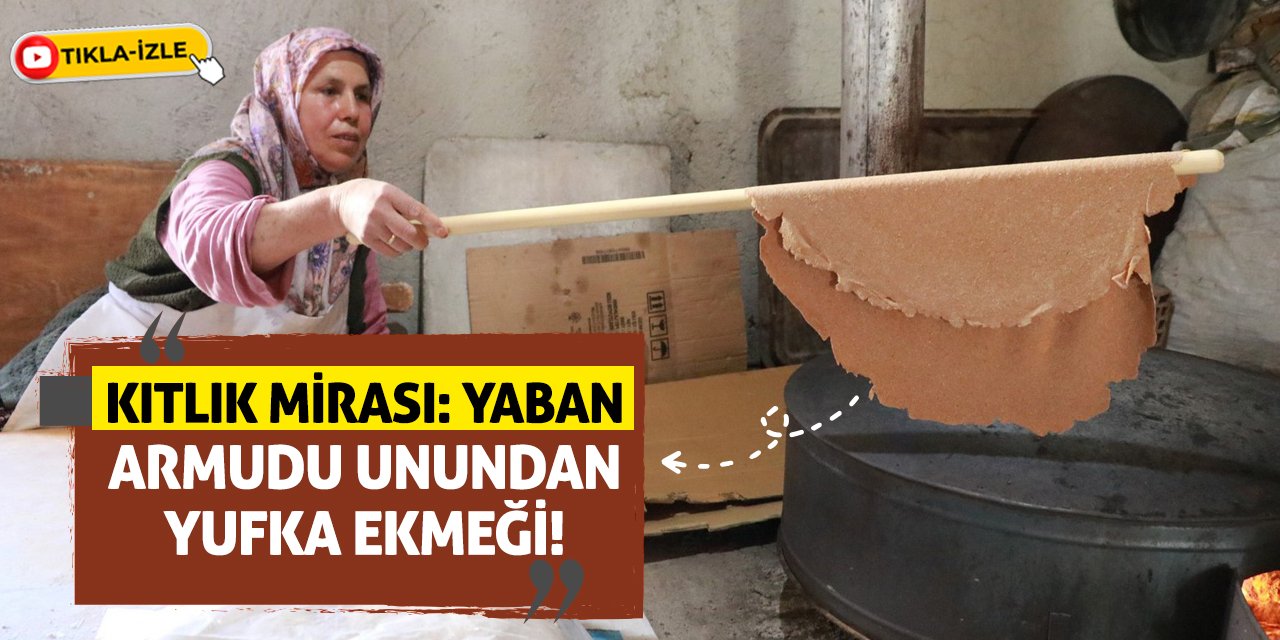 Kıtlık Mirası: Yaban Armudu Unundan Yufka Ekmeği!